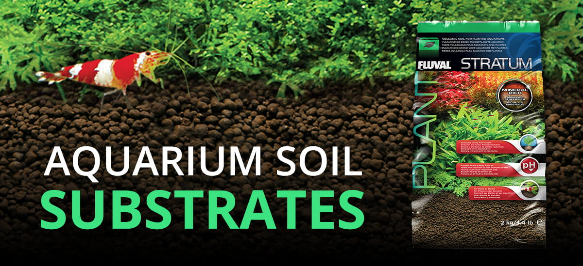 Fluval Stratum Soil: The Key to Thriving Aquatic Plants » blog