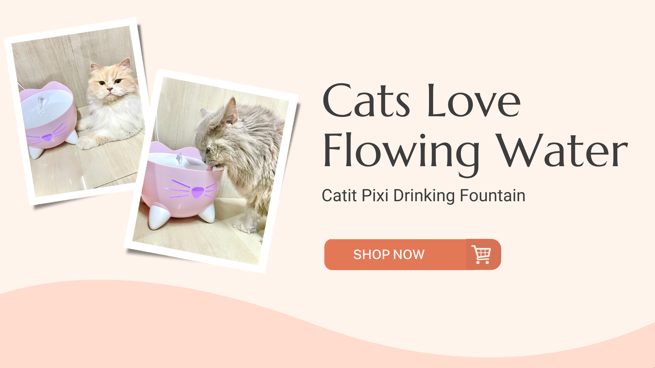 Catit Pixi Drinking Fountain for Cats in White