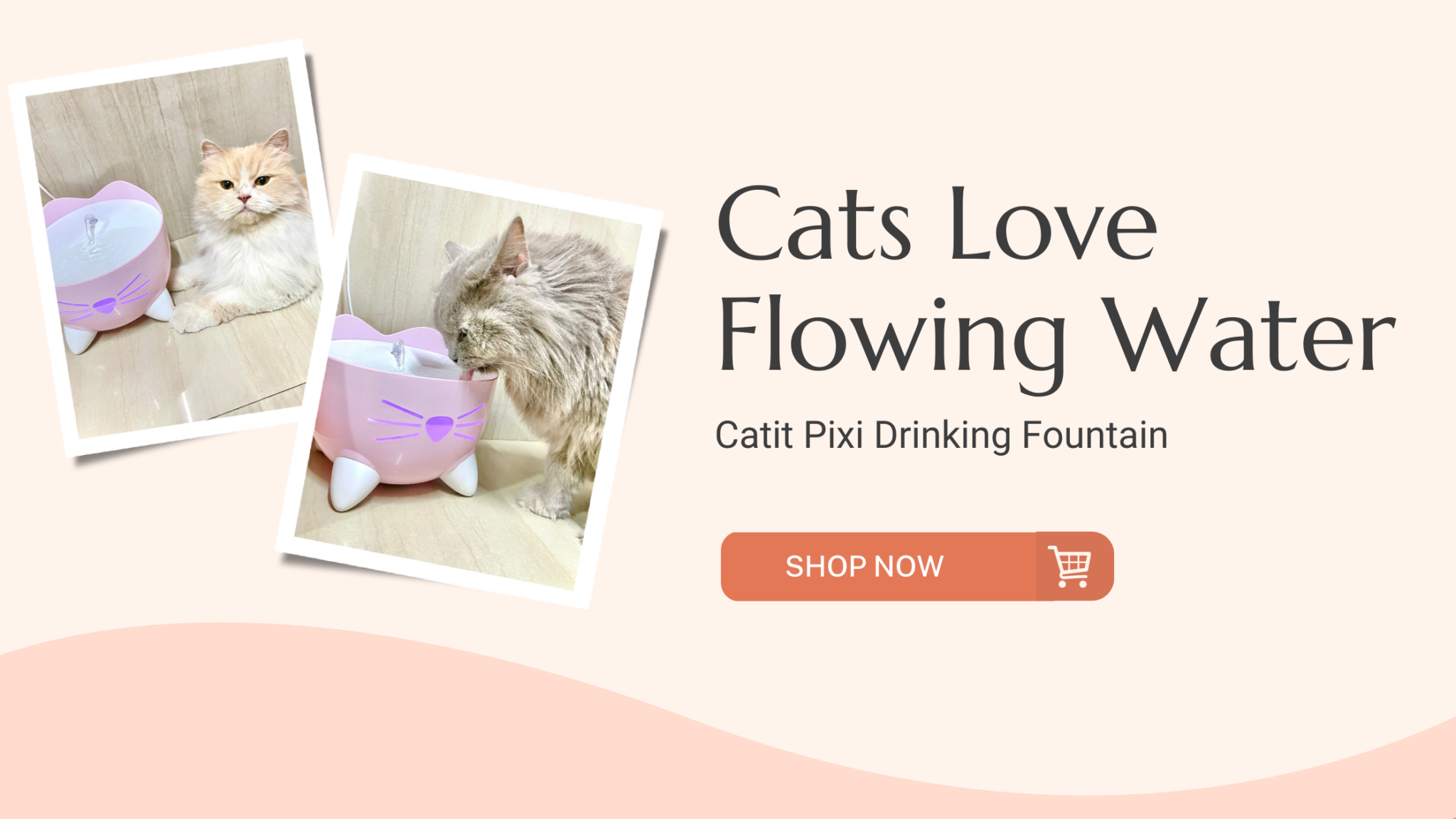 Flowing water 2024 fountain for cats