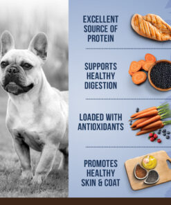 Zoe Dog Food Ingredients Benefits