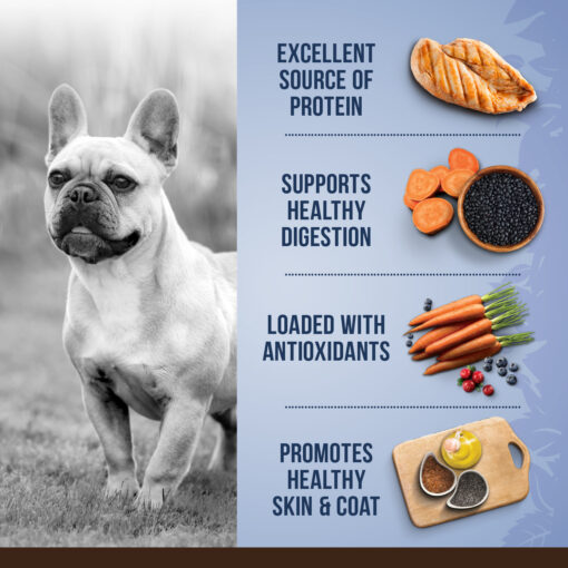 Zoe Dog Food Ingredients Benefits