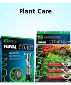 Plant care