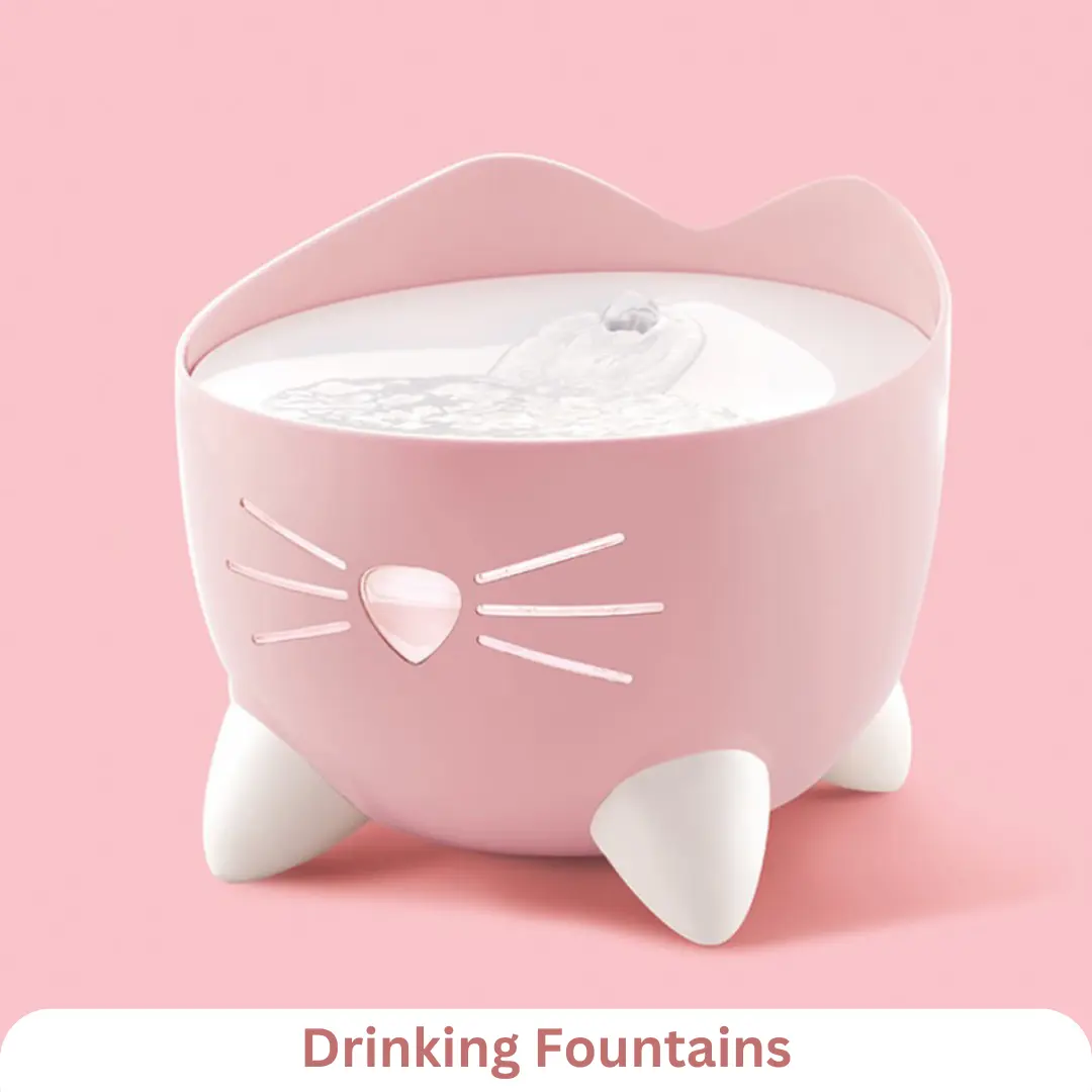 cat Drinking Fountain