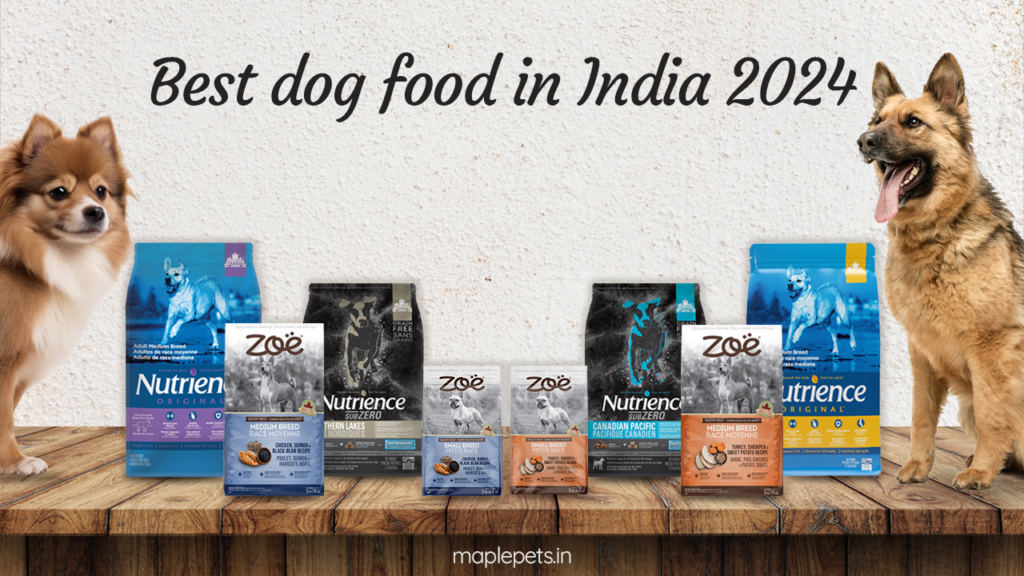 Best dog food in India 2024